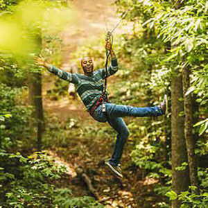 Ziplining and Canopy Tours (Including moonlit options)