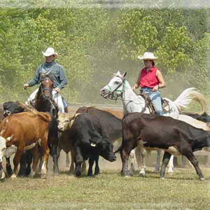 Dude Ranch Adventure Days