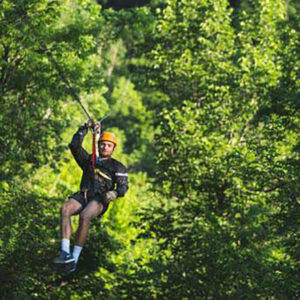 Ziplining & Canopy Tours (including moonlit option)