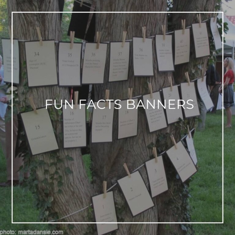80th birthday fun facts about the birthday boy/girl garland banner decorations hanging from tree at garden party