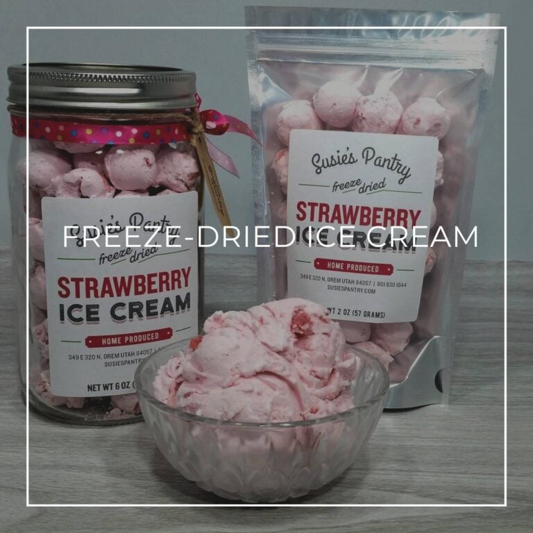 Freeze-Dried Ice Cream
