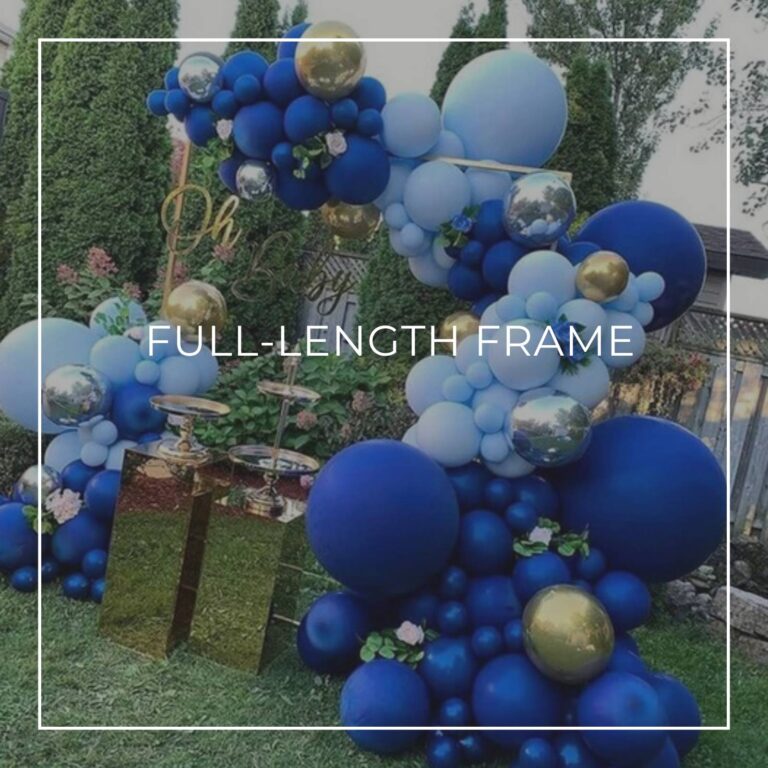 Full Length Backdrop Frame