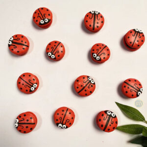 ladybug themed macarons