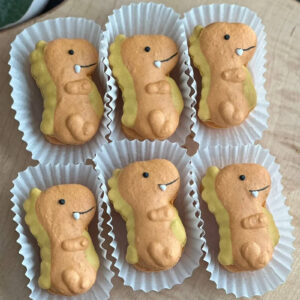 dinosaur themed macarons